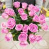 Букет из 25 эквадорских роз