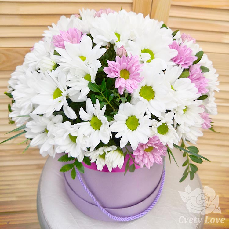 Белые и розовые хризантемы в шляпной коробке