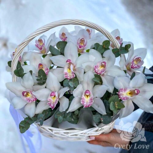 15 орхидей в корзине