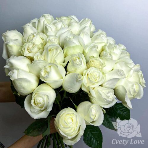 Букет из 51 белой розы под ленту