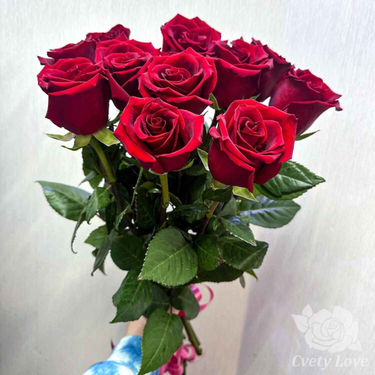 Букет из 11 красных роз Голландия